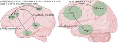 Dependence of Working Memory on Coordinated Activity Across Brain Areas